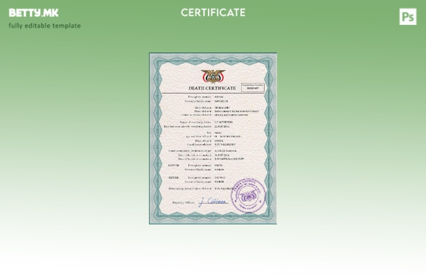 Модерен стил во Јемен, шаблон за шаблон за ПСД од потврда за смртна евиденција